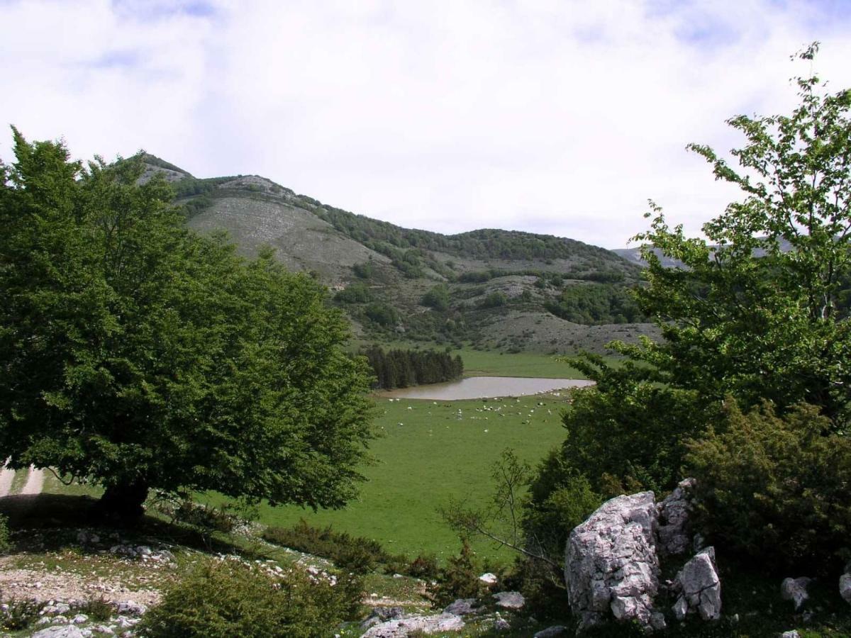 Agriturismo I Due Regni Petrella Salto Екстериор снимка