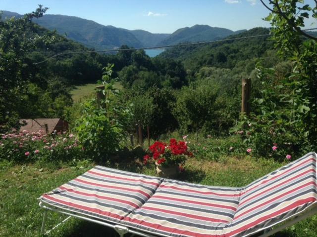 Agriturismo I Due Regni Petrella Salto Екстериор снимка